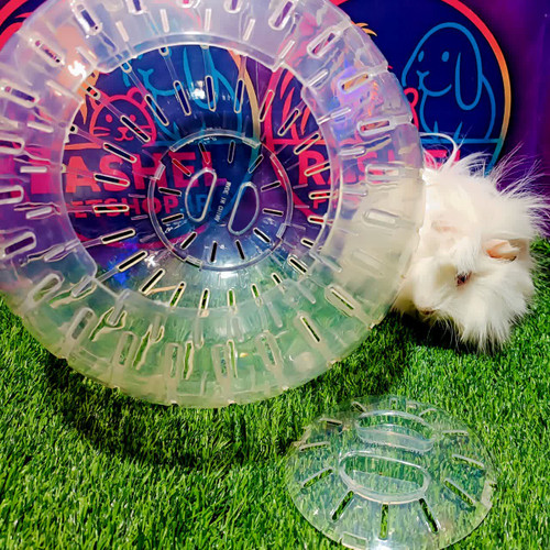 توپ بازی خوکچه و خرگوش کوچک (توپ ایمنی جوندگان)